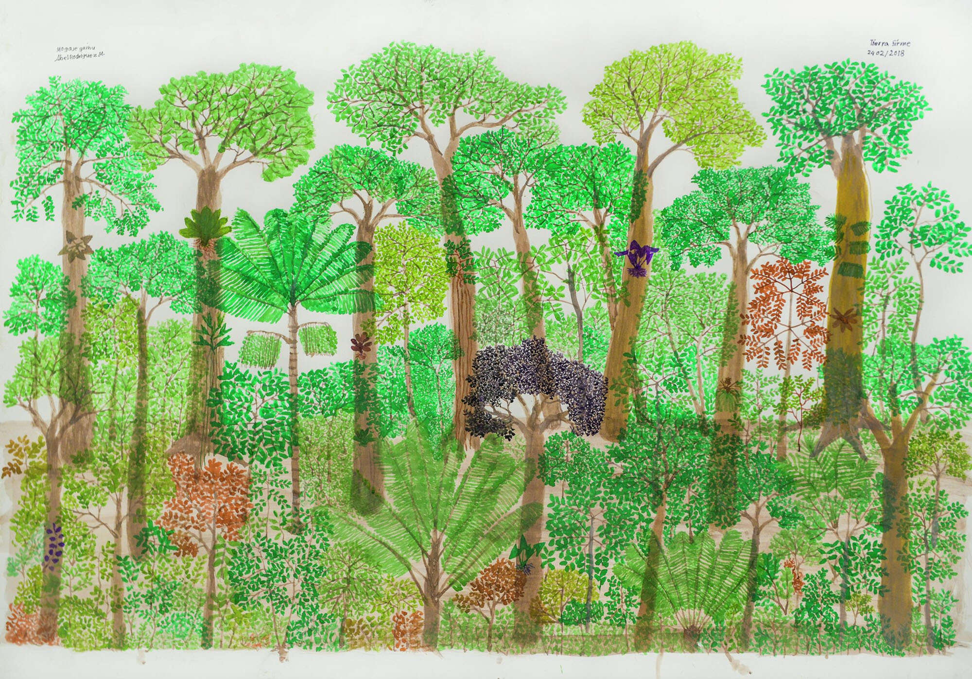 Eine helle grüne Zeichnung eines Waldes vom Künstler Abel Rodríguez