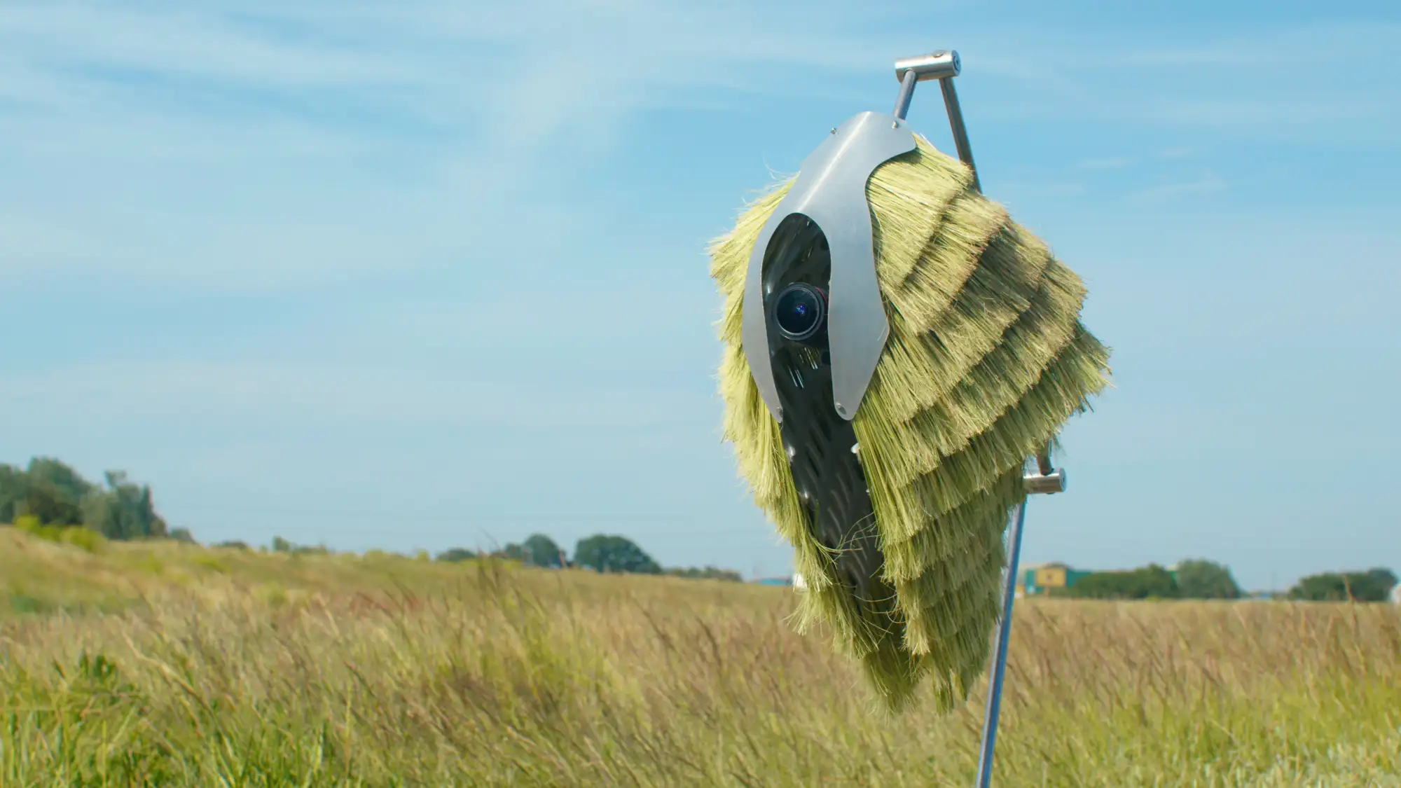Kamera in Wiese getarnt mit Strohhelm