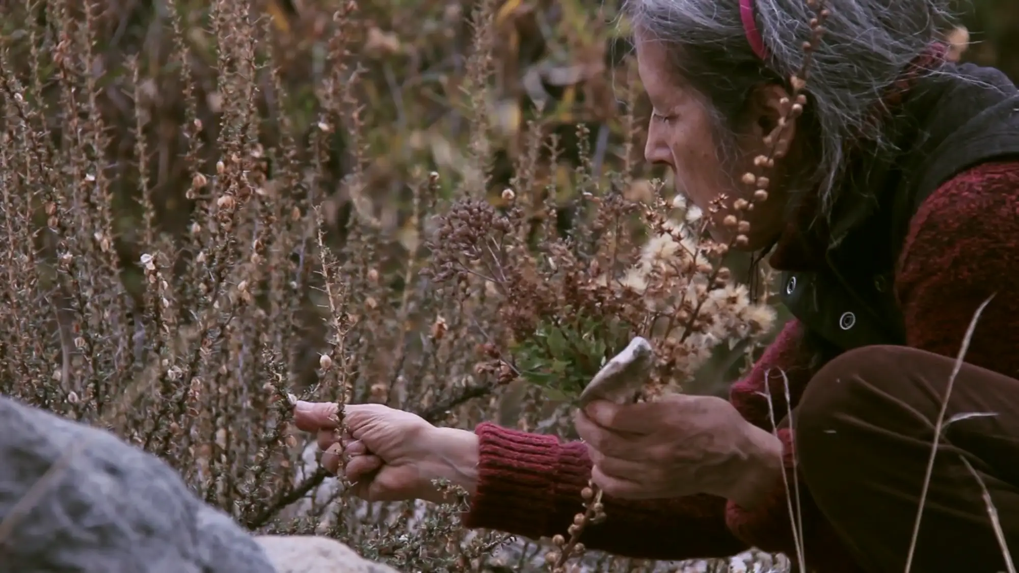 Frau kniend mit einem Grshalm mit Samen in der Hand