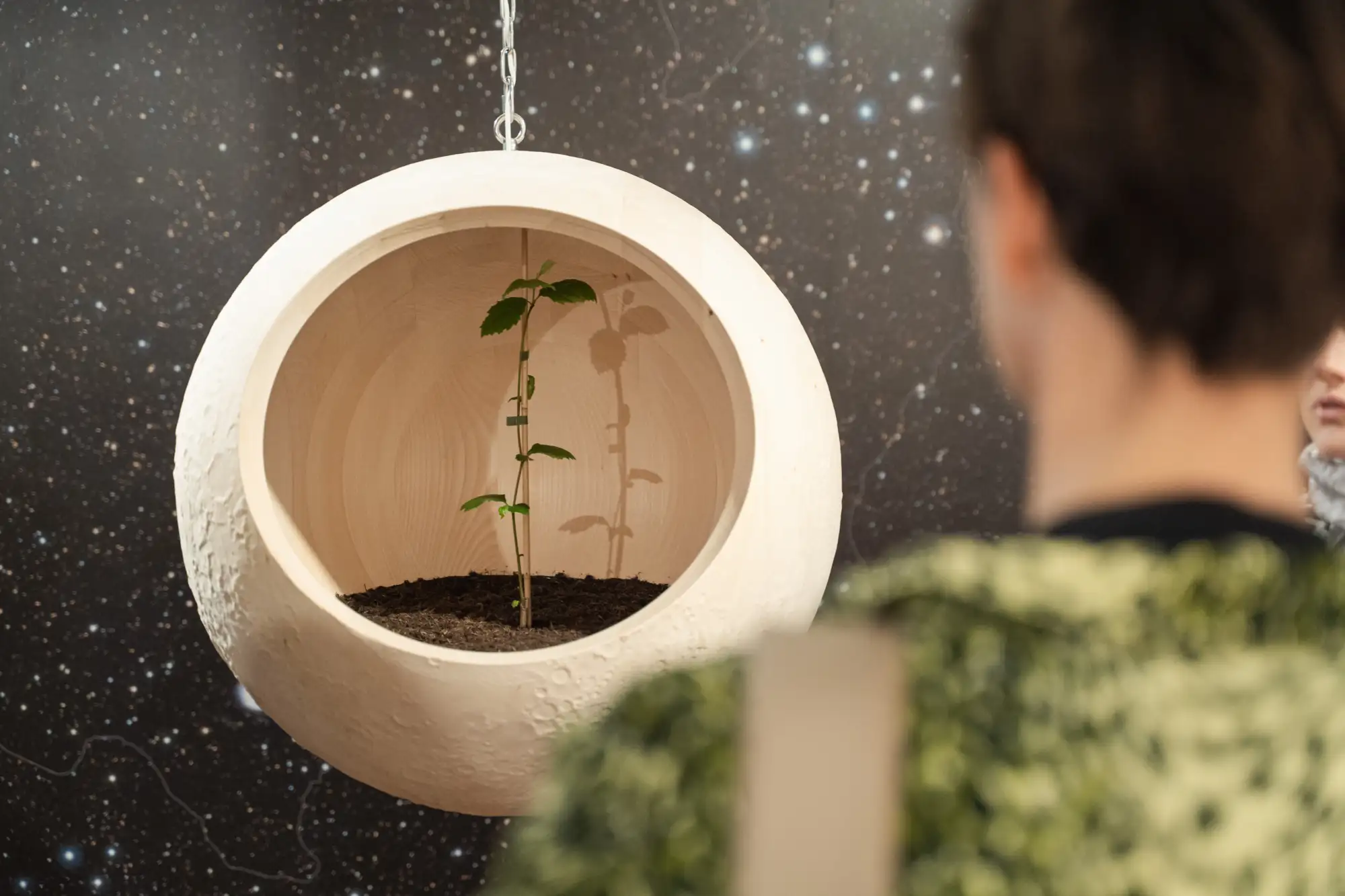 Frau steht vor einem Baum-Setzling, der in einer Mondskulptur gepglanzt ist